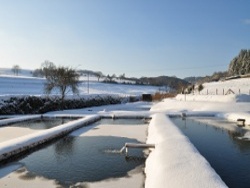 files/Bilder/Rechte Bilder Home/Forellenhof Blankenheim Weier im Winter.jpg files/Bilder/Rechte Bilder Home/Forellenhof Blankenheim Weier im Winter.jpg