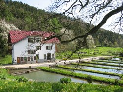 files/Bilder/Rechte Bilder Home/Forellenhof Blankenheim Weier und Appartements.jpg files/Bilder/Rechte Bilder Home/Forellenhof Blankenheim Weier und Appartements.jpg