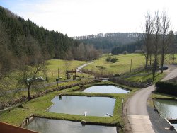files/Bilder/Rechte Bilder Home/Forellenhof Blankenheim Weier und Land.jpg files/Bilder/Rechte Bilder Home/Forellenhof Blankenheim Weier und Land.jpg